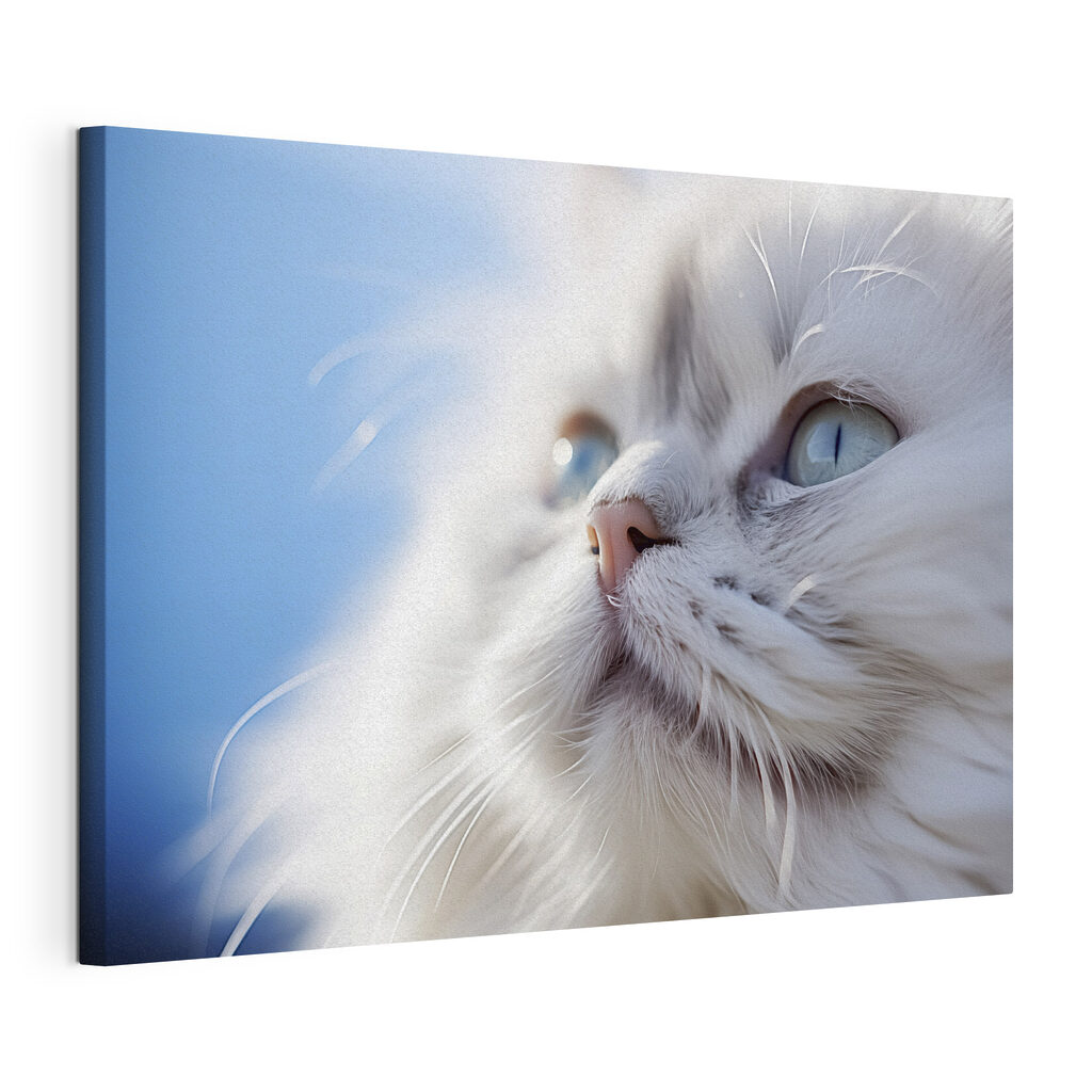 Een kattenblik in winterwit, gespannen canvas met doorlopende rand