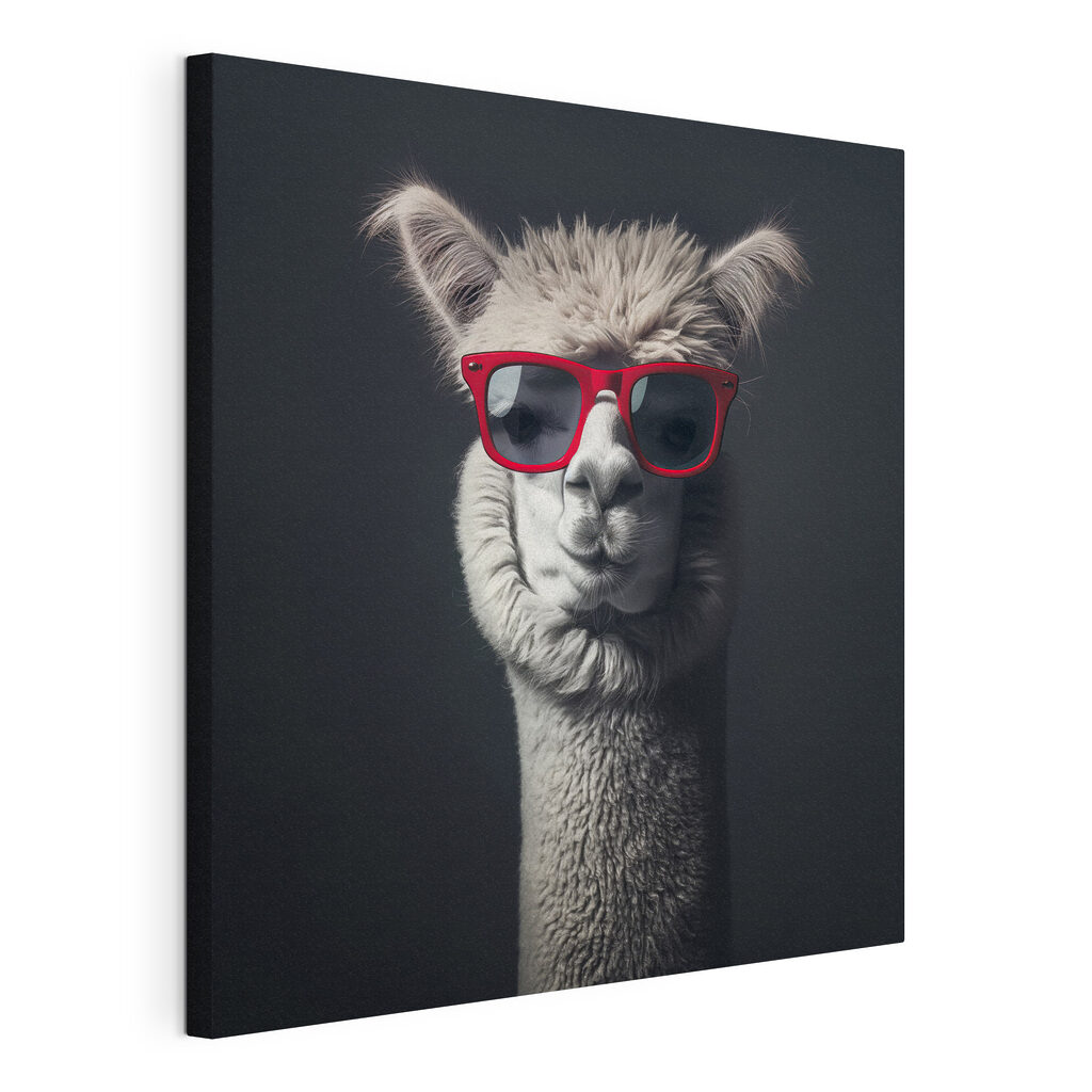 Lama met rode bril — productweergave