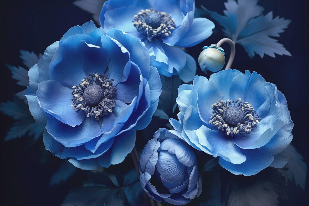 Drie bloemen in diepblauw — volledig ontwerp