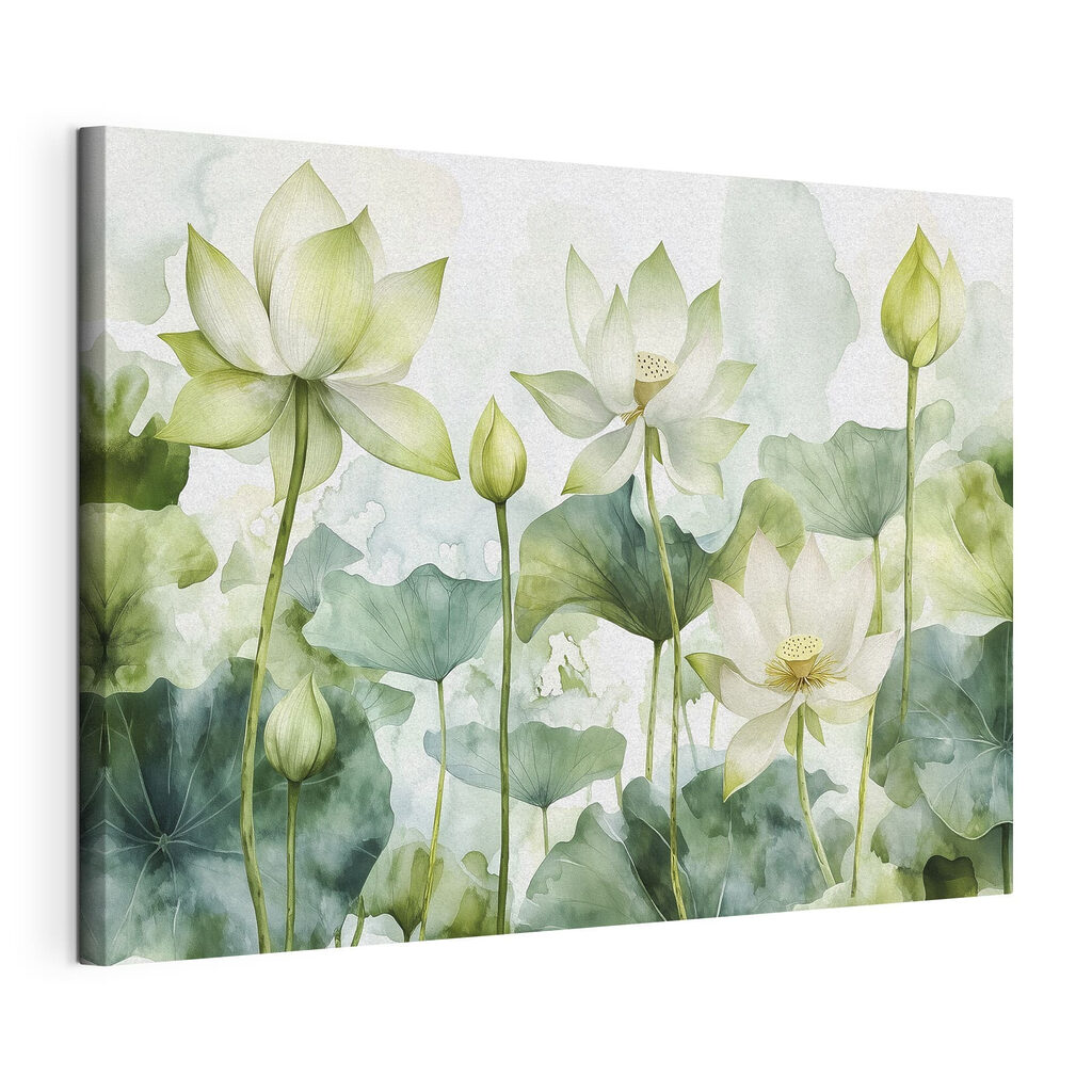 Witte lotussen tussen bladeren — productweergave