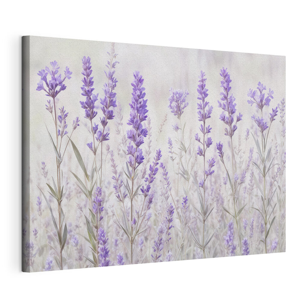 Lavendel in bleke waterverf — productweergave