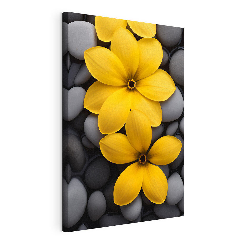 Gele bloemen tussen kiezels — productweergave
