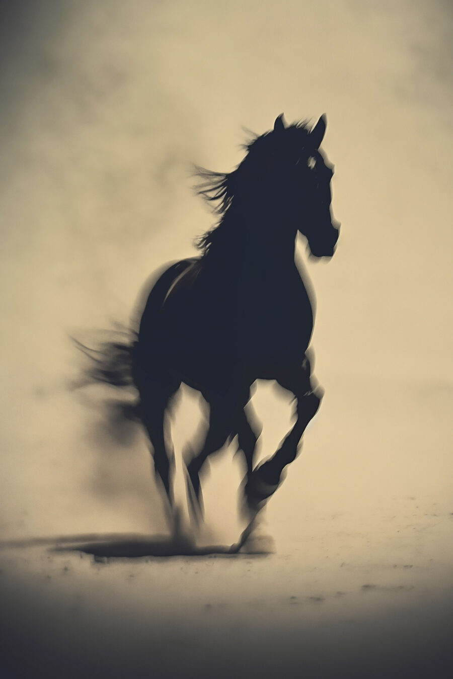 Paard als schaduwfiguur — volledig ontwerp
