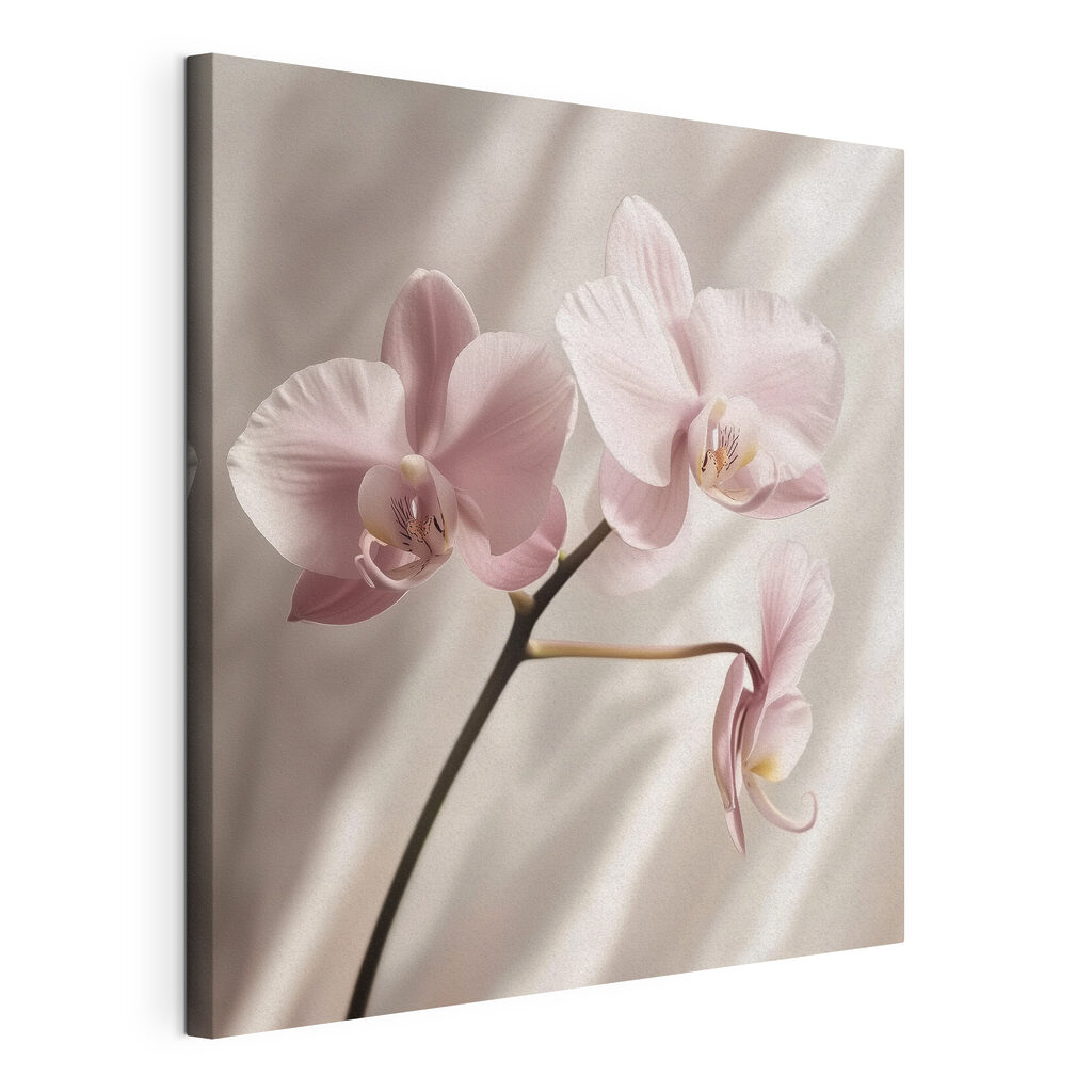 Roze orchidee voor gordijnplooien — productweergave