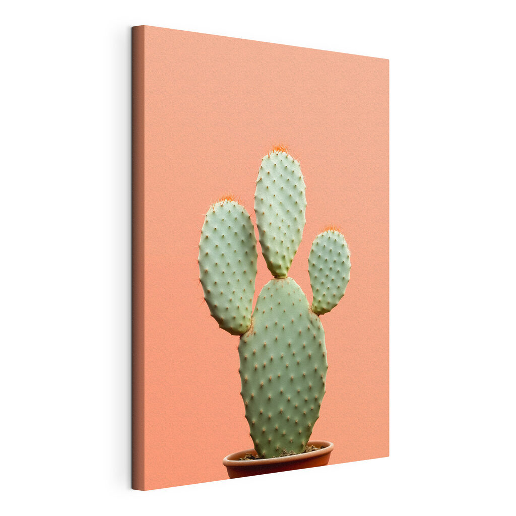 Cactus tegen perzikroze, gespannen canvas met doorlopende rand