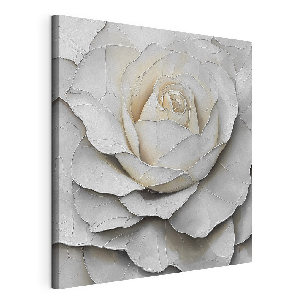 Witte roos in schaduwplooien, gespannen canvas met doorlopende rand