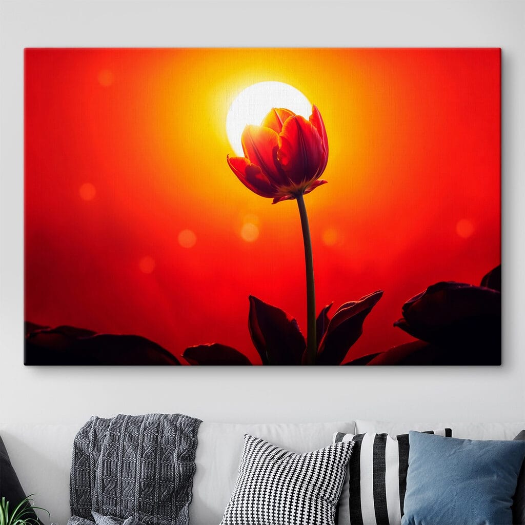 Rode tulp voor zonnegloed — interieur 1