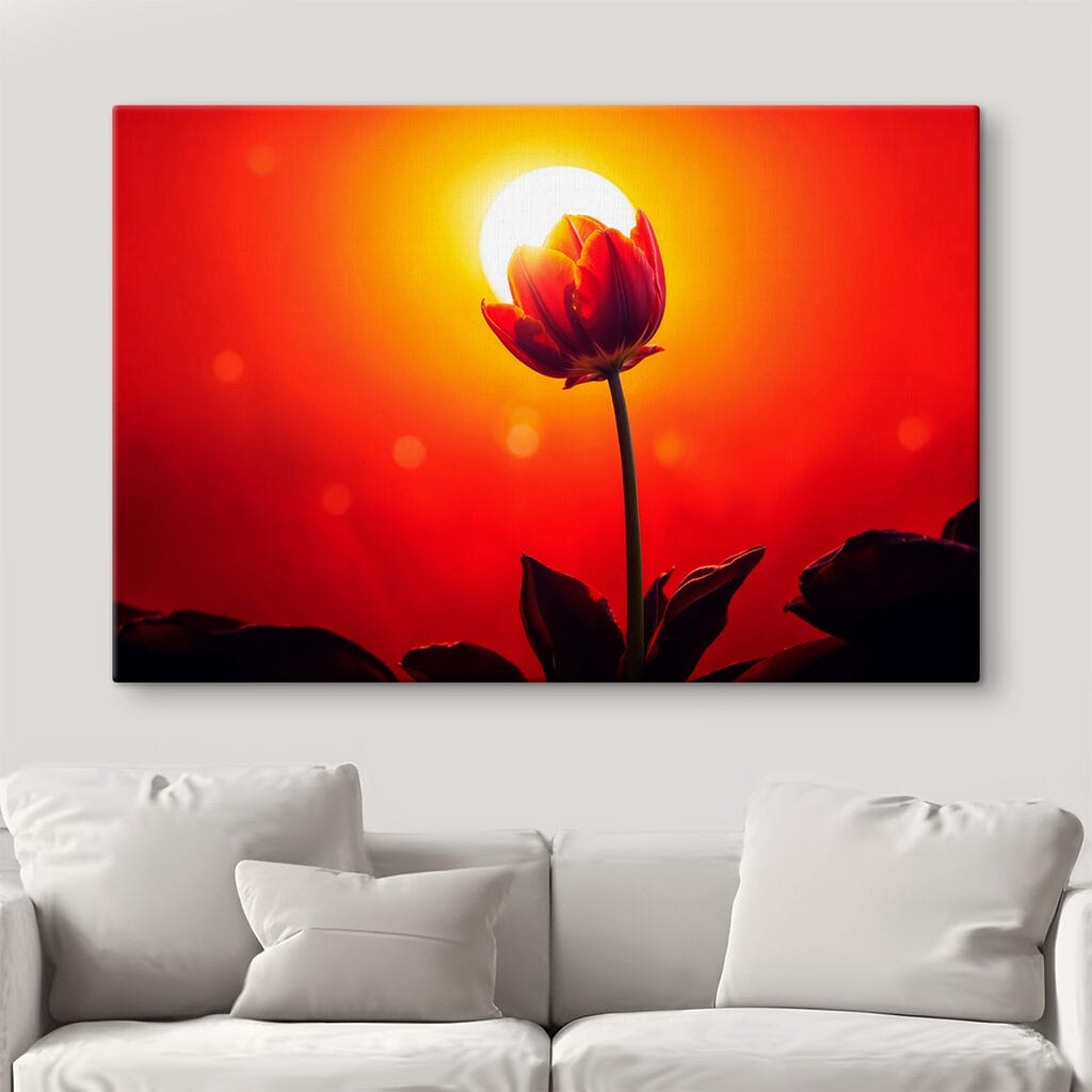 Rode tulp voor zonnegloed — interieur 3