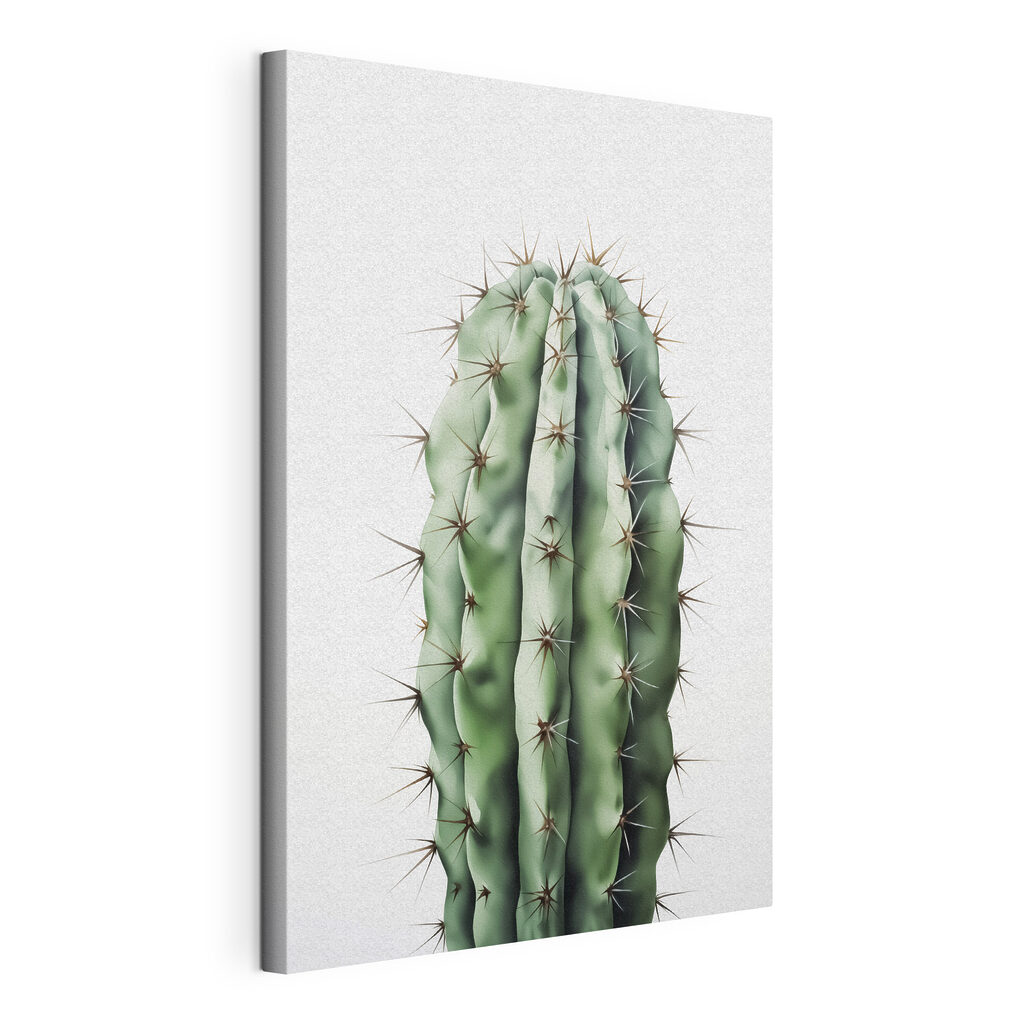 Groene zuilcactus op wit — productweergave