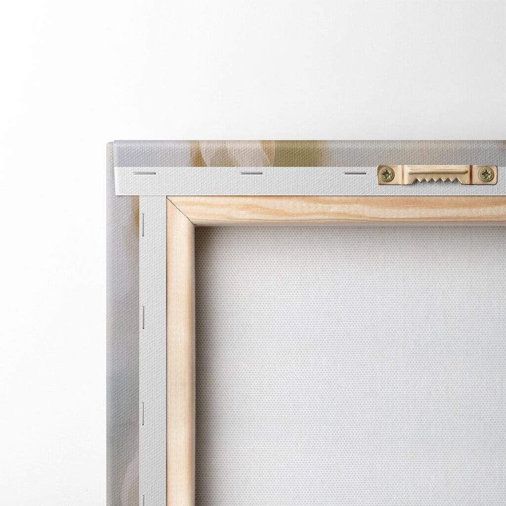 Roomwitte rozen in lichtstreken — achterkant