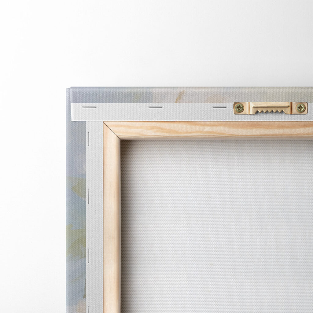 Roomwitte rozen in kleurvegen — achterkant