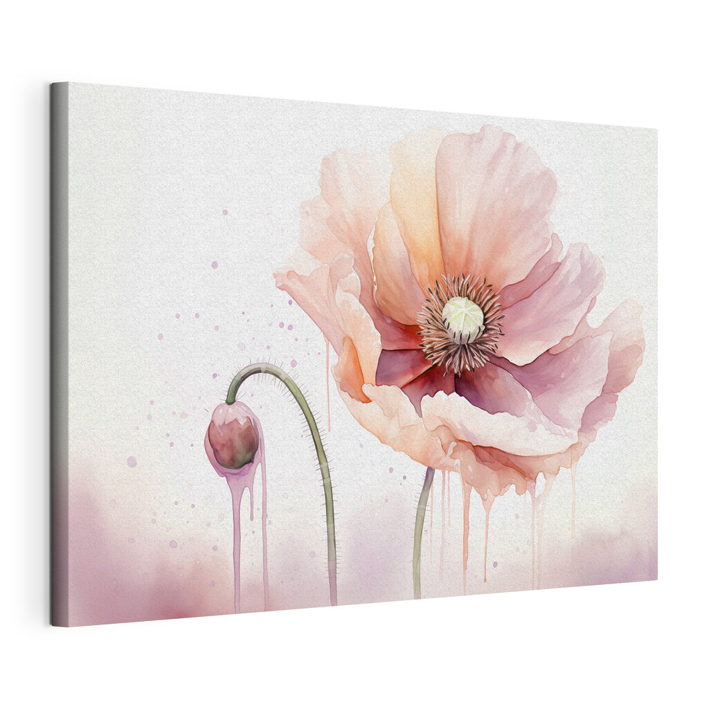 Roze klaproos in waterverf, gespannen canvas met doorlopende rand
