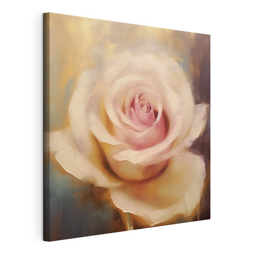 Roomwitte roos, roze kern, gespannen canvas met doorlopende rand