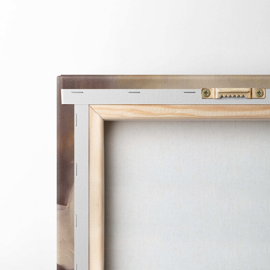 Roomwitte roos, roze kern — achterkant