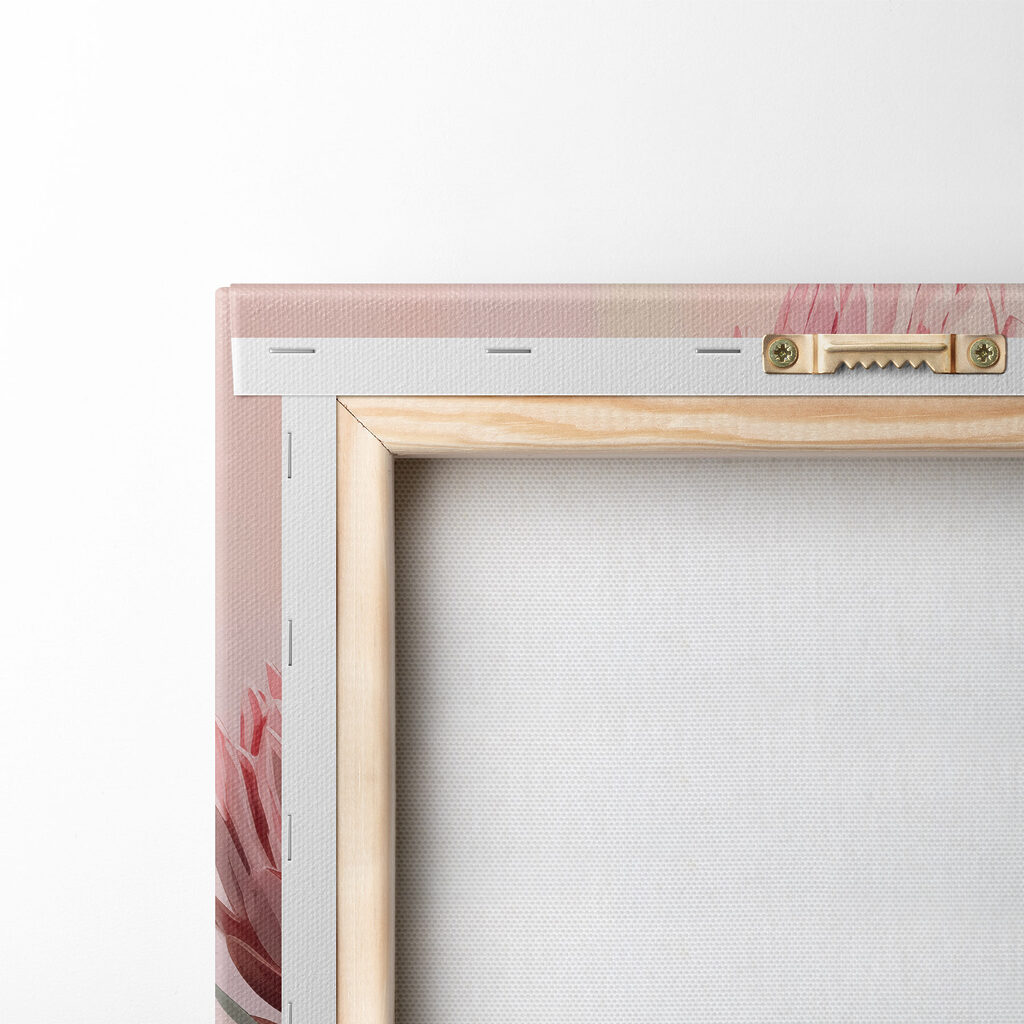 Roze protea op pastelvlakken — achterkant