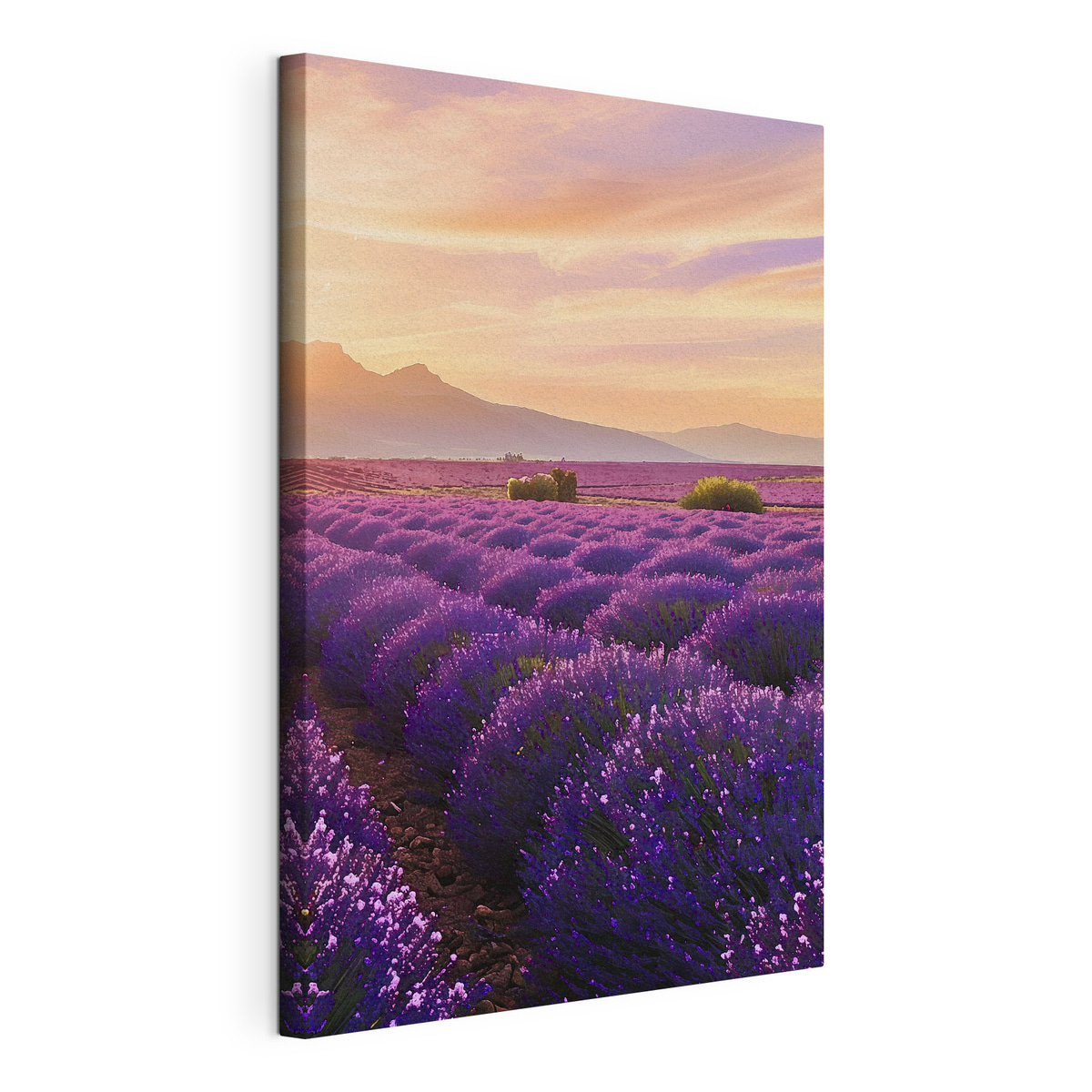 Lavendel tegen de achtergrond van een zonsondergang in de bergen, gespannen canvas met doorlopende rand