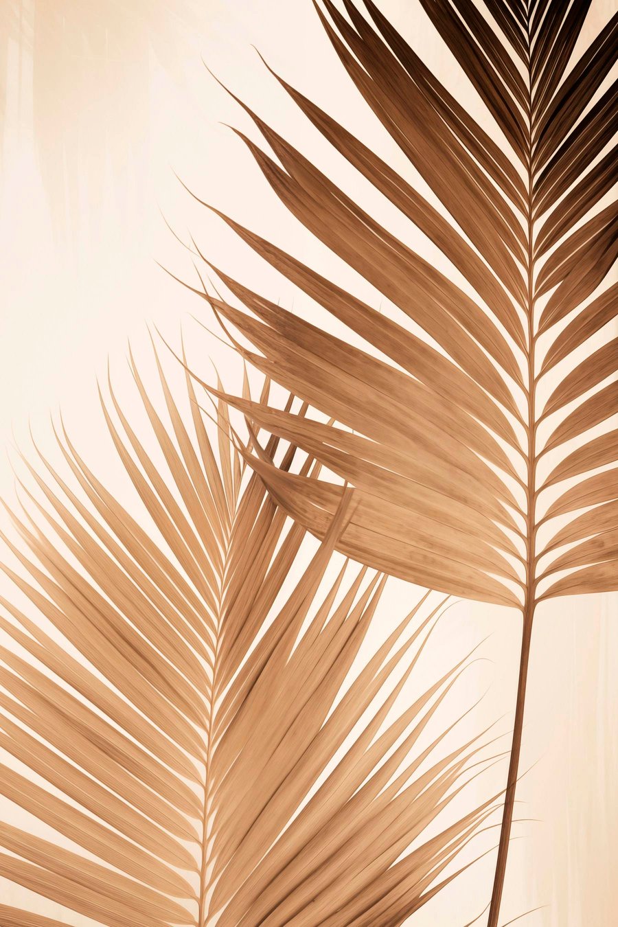 Palmbladeren in bruine tinten, neutrale achtergrond, minimalistische stijl, natuurlijke belichting, tropische sfeer — volledig ontwerp