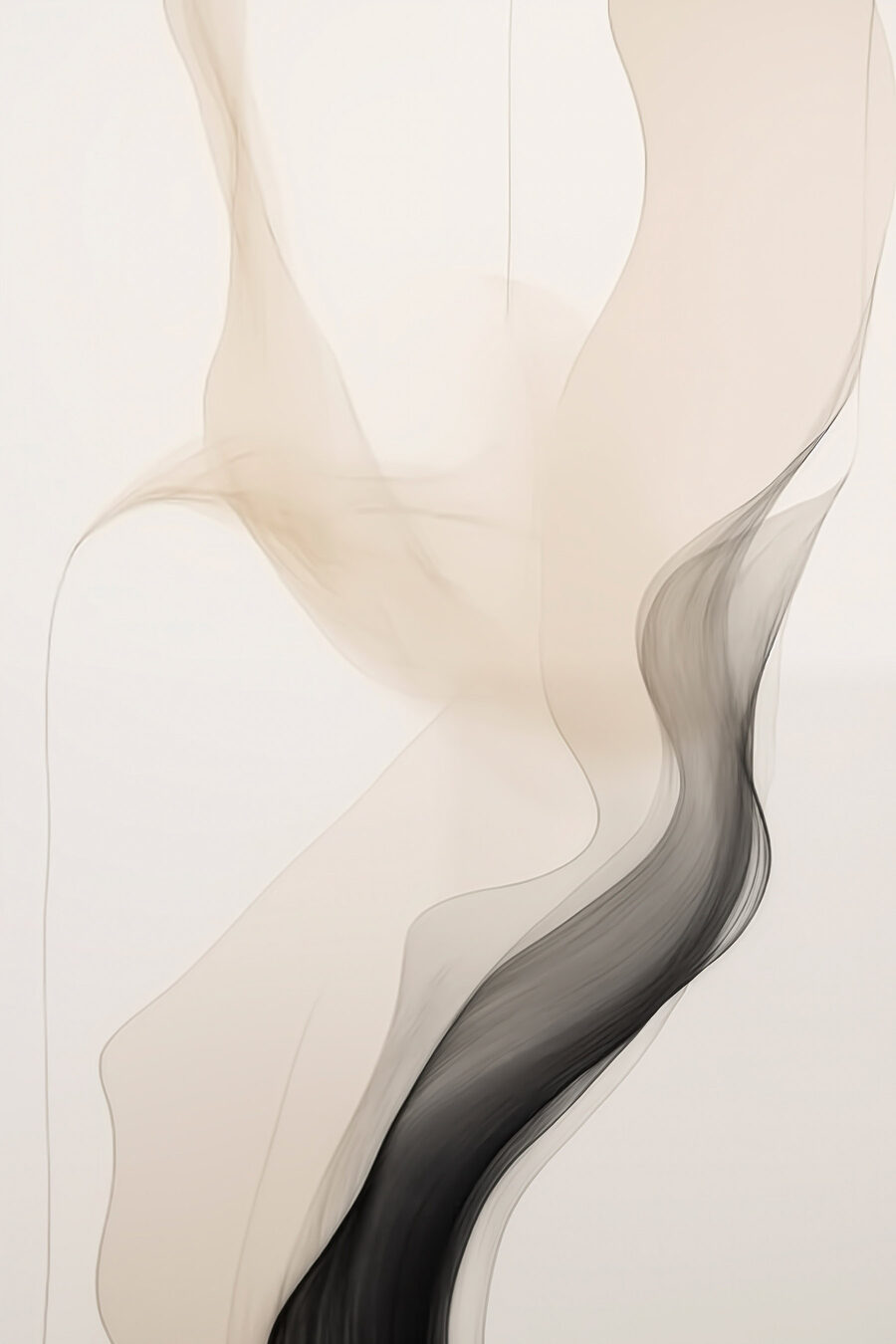 Zwarte en witte rook — volledig ontwerp