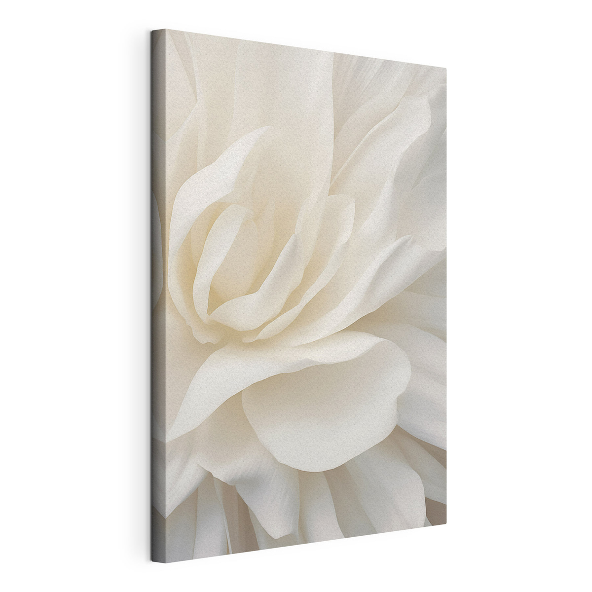 Abstracte witte bloem met delicate, gelaagde bloemblaadjes, minimalistische kunst — productweergave