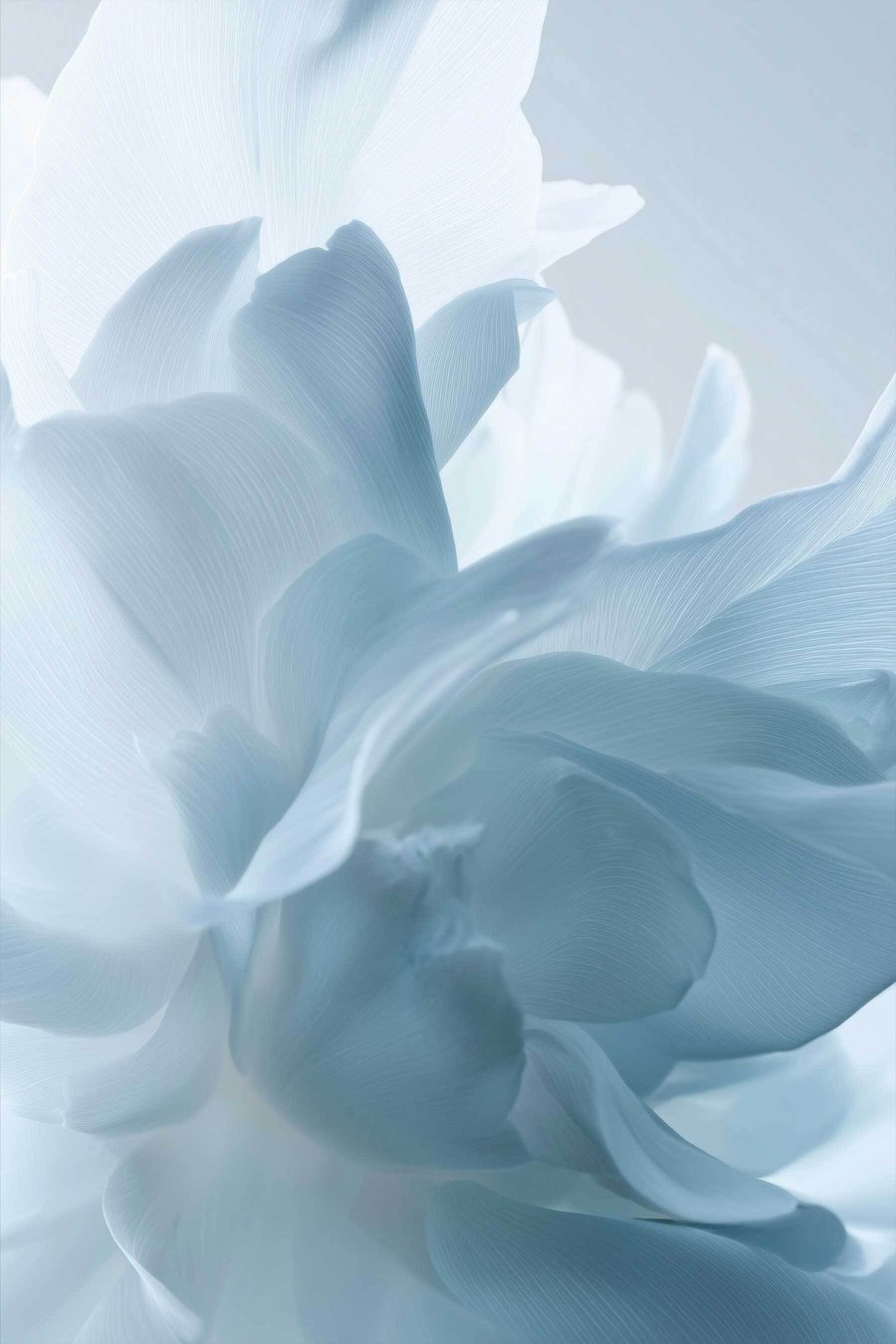delicate bloemblaadjes in blauwtinten — volledig ontwerp