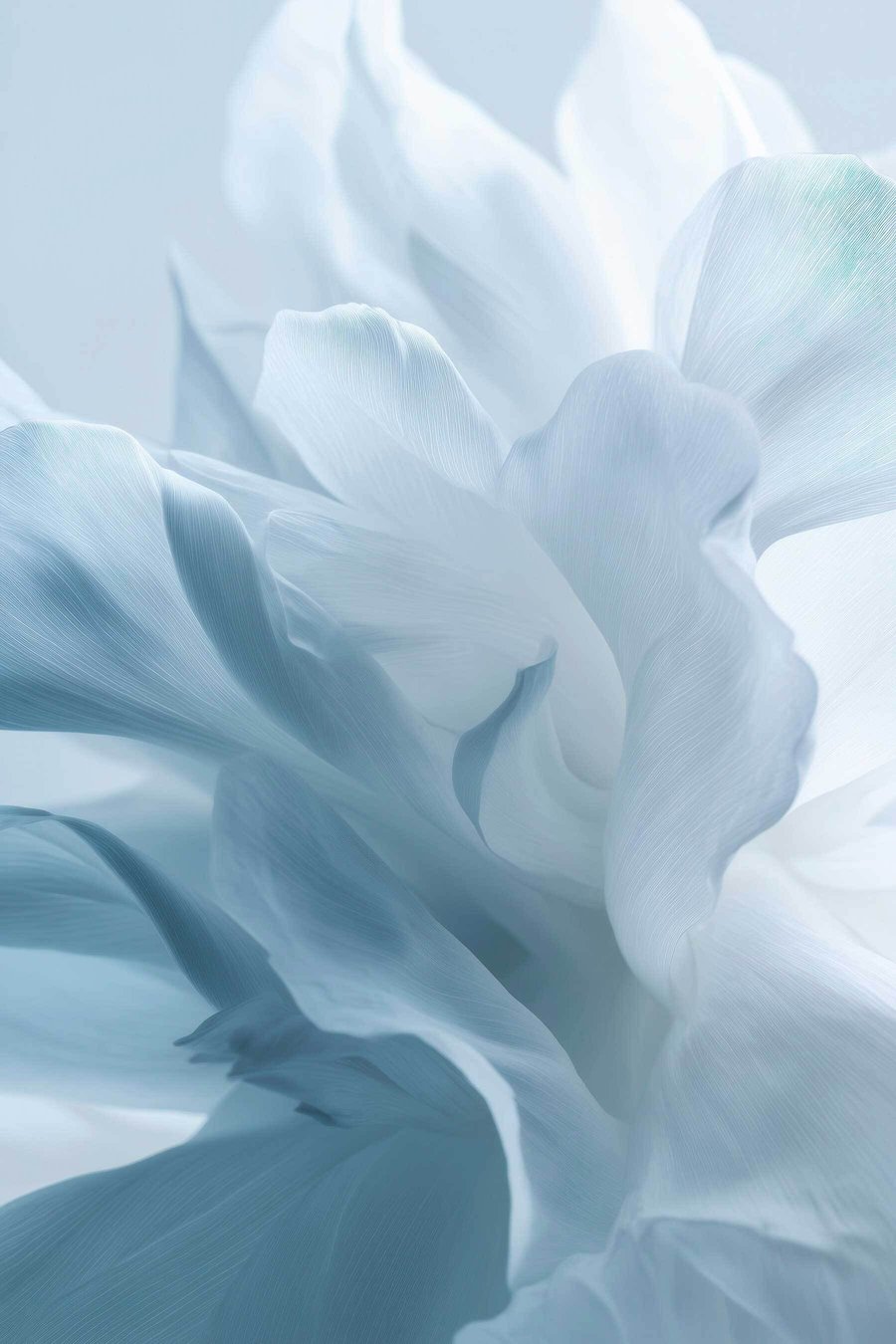 delicate bloemblaadjes in blauwtinten — volledig ontwerp