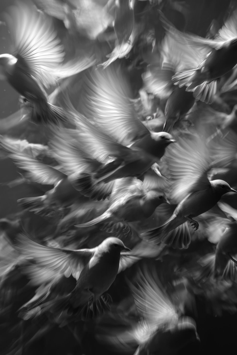 Vogels met bewegingsonscherpte — volledig ontwerp