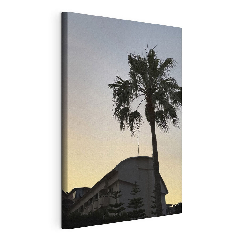 Palmboom voor een gebouw, gespannen canvas met doorlopende rand
