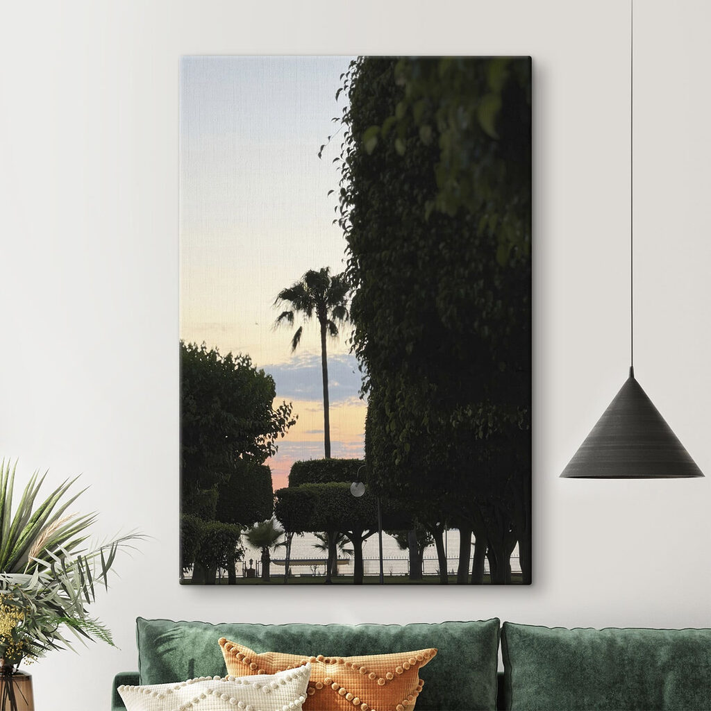 Palmbomen en struiken — interieur 1
