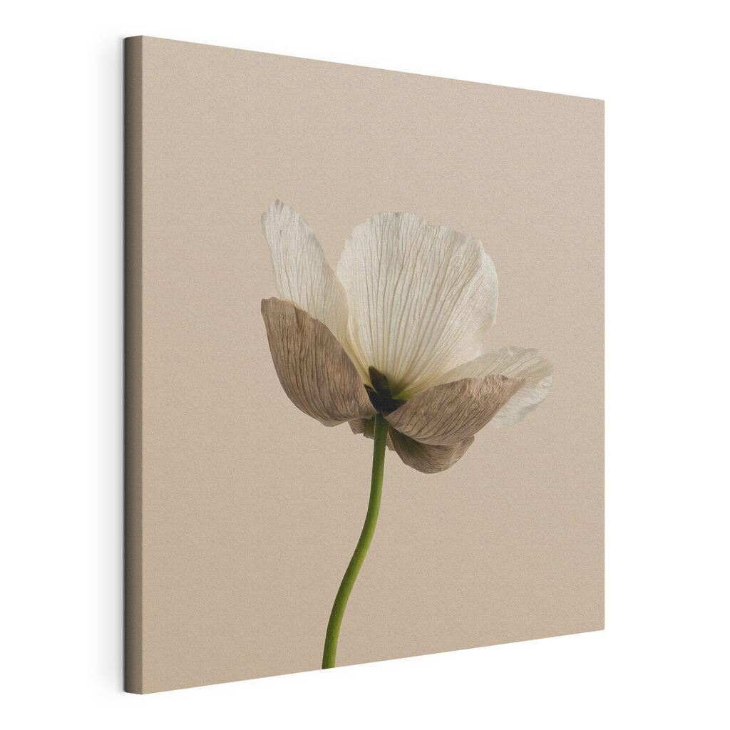 Bloem op groene steel, gespannen canvas met doorlopende rand