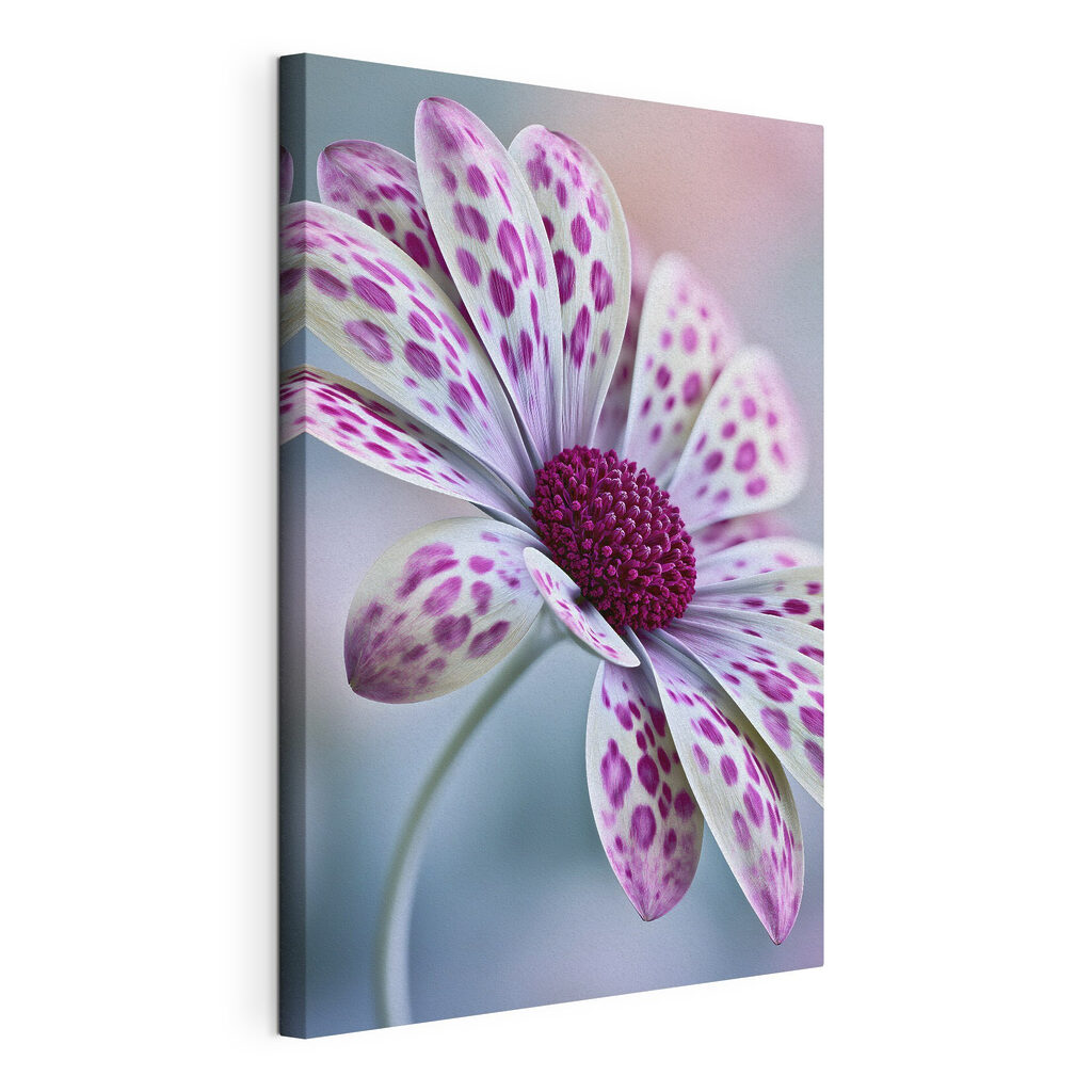Elegante bloem met levendige patronen — productweergave