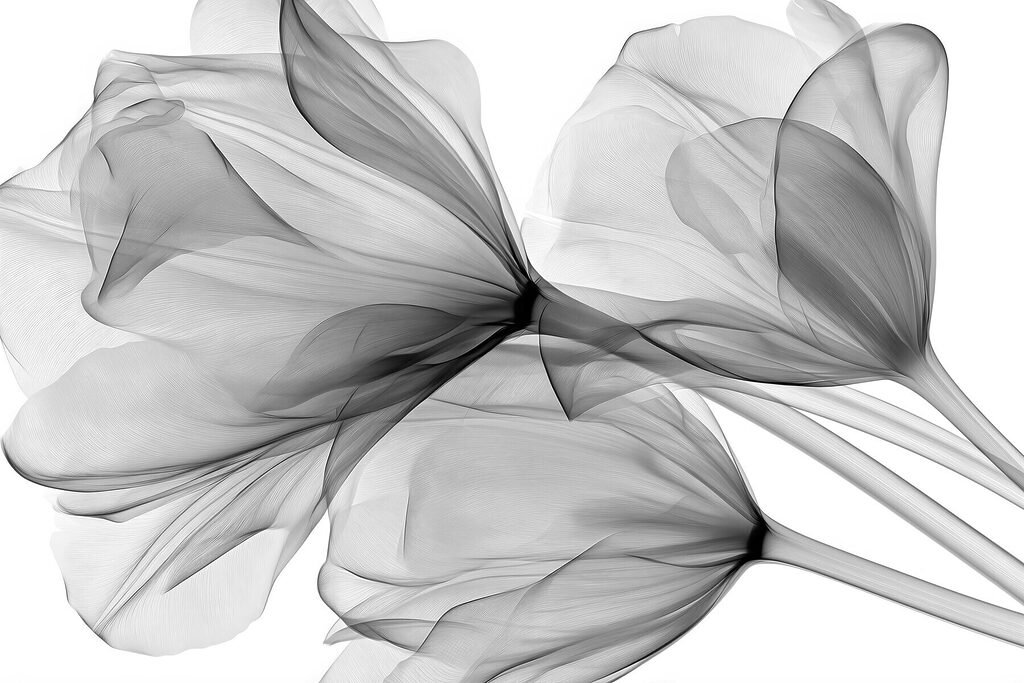 Boeket bloemen met tule — volledig ontwerp