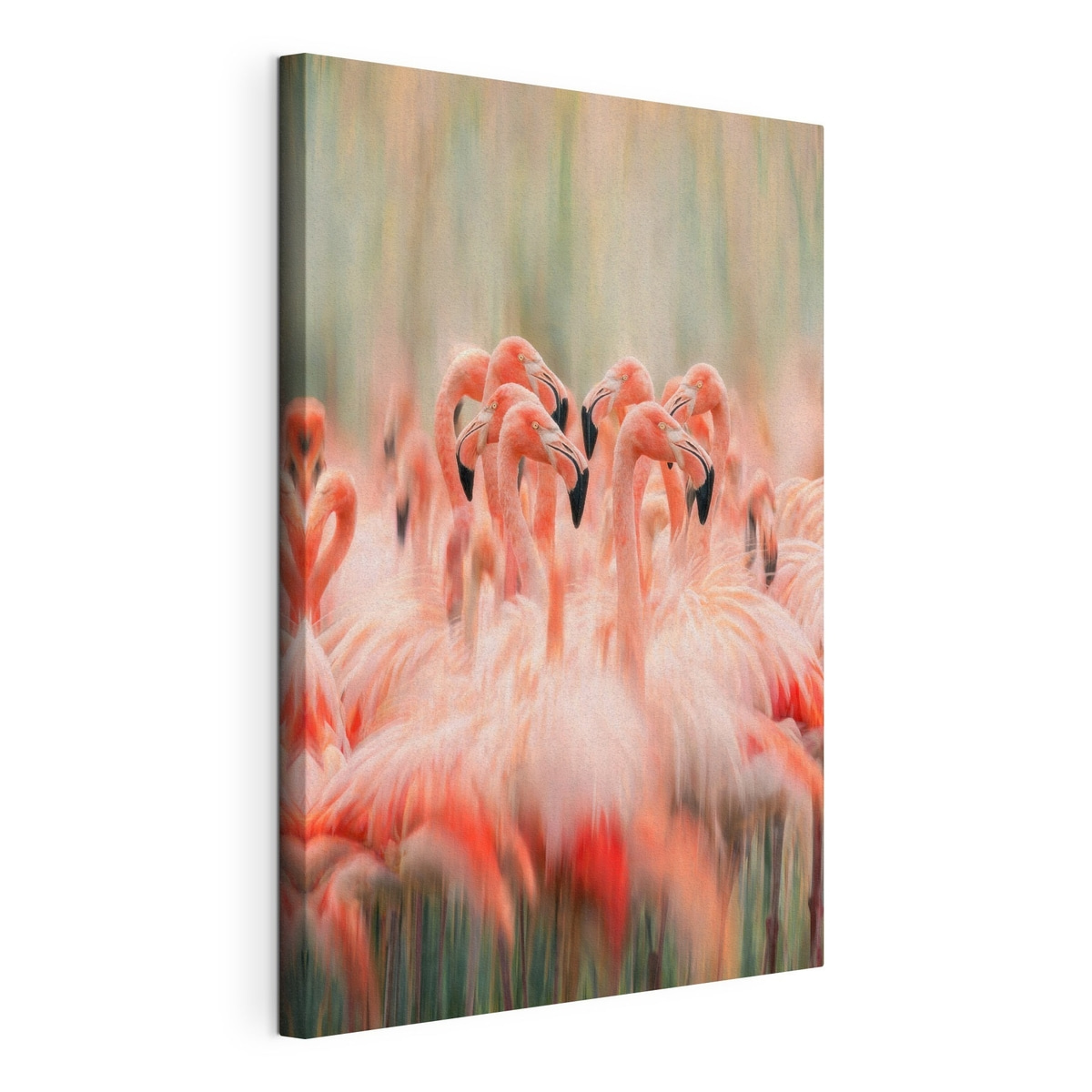Een zwerm roze flamingo’s met een artistiek vervagend effect in pastelkleuren — productweergave