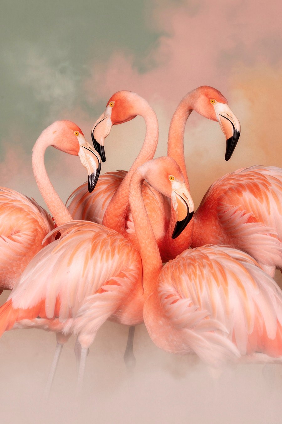 Roze flamingo’s in een waas van pasteltinten: een decoratieve compositie — volledig ontwerp