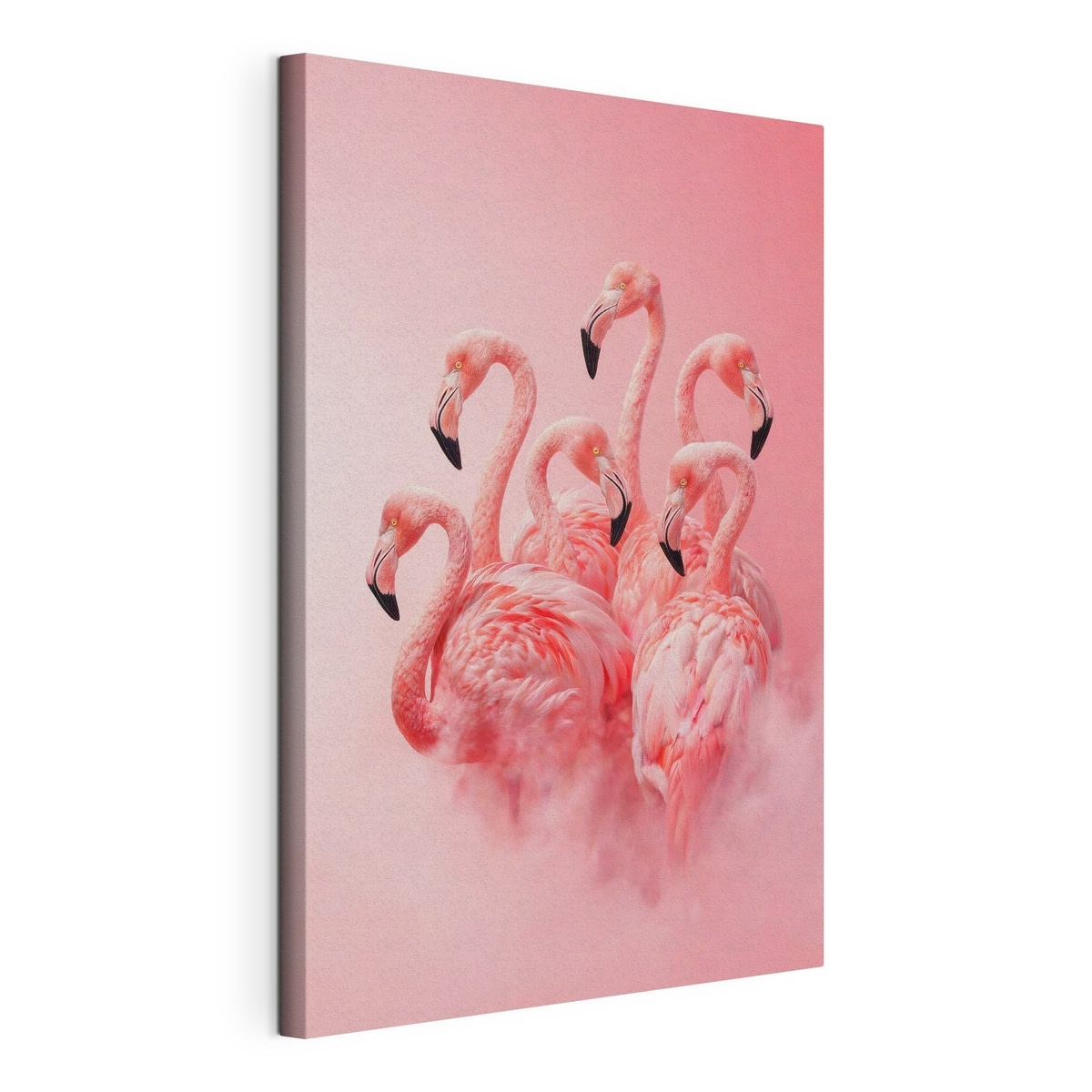 Roze flamingo’s in een lichte mist: een decoratief tafereel in zachte tinten, gespannen canvas met doorlopende rand
