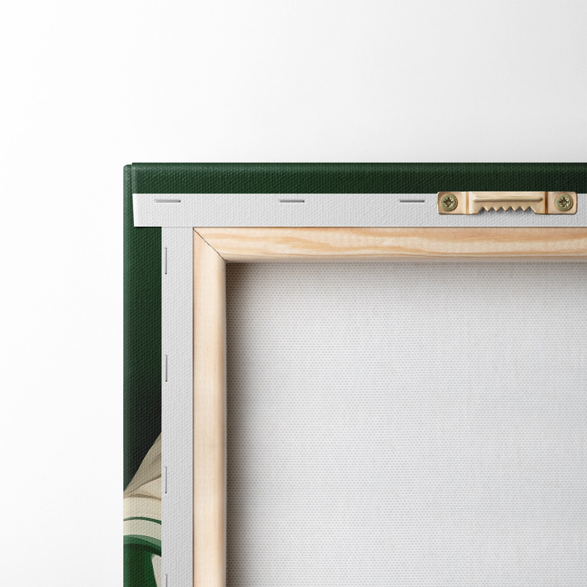 Home Bibliotheek — achterkant