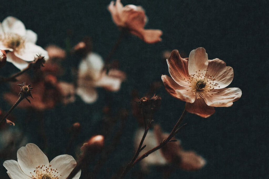 Roestkleurige bloemen op donker — volledig ontwerp