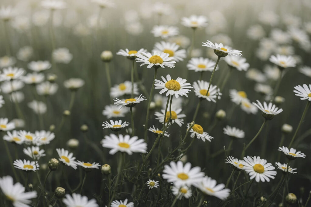 Bloemen in het gras — volledig ontwerp