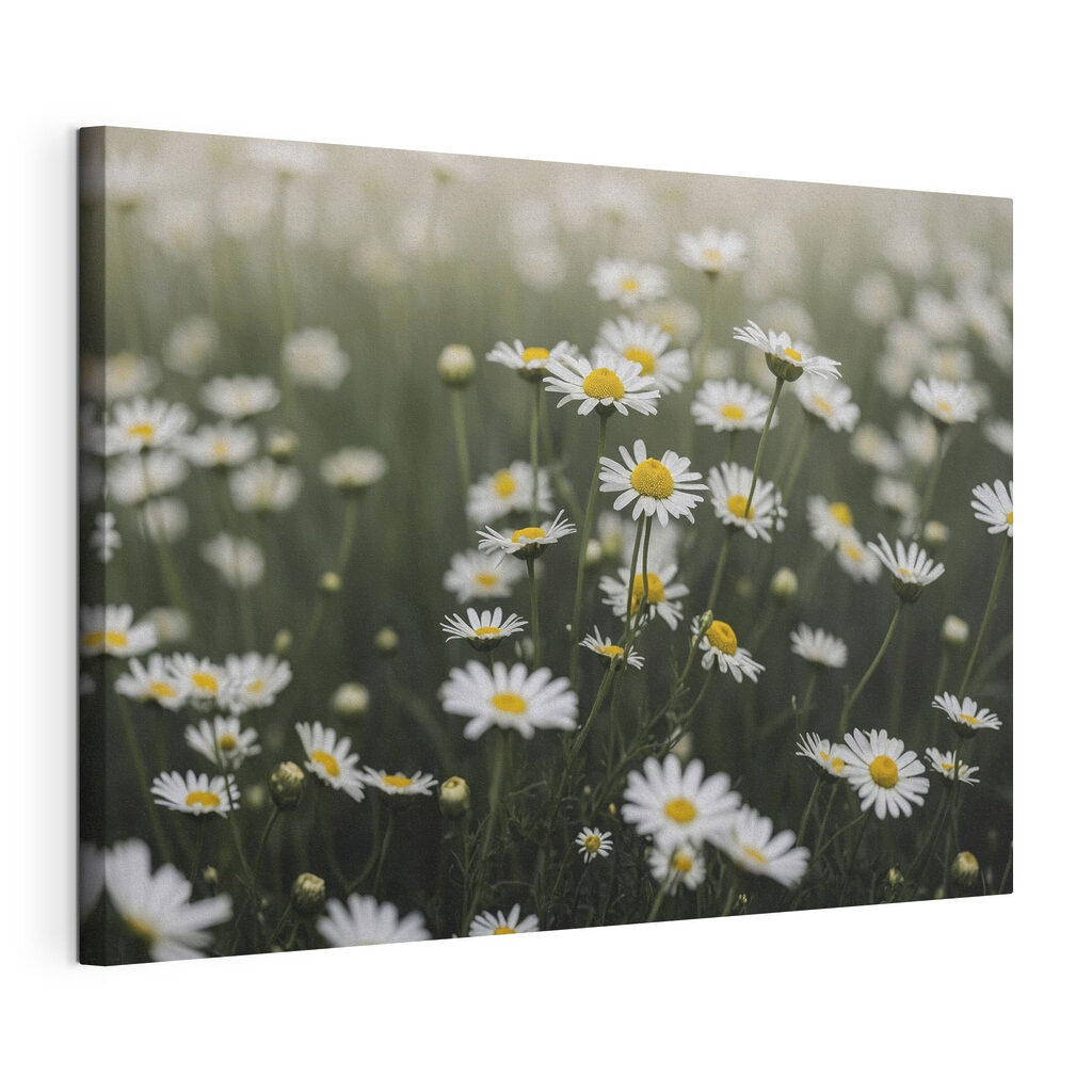 Bloemen in het gras, gespannen canvas met doorlopende rand