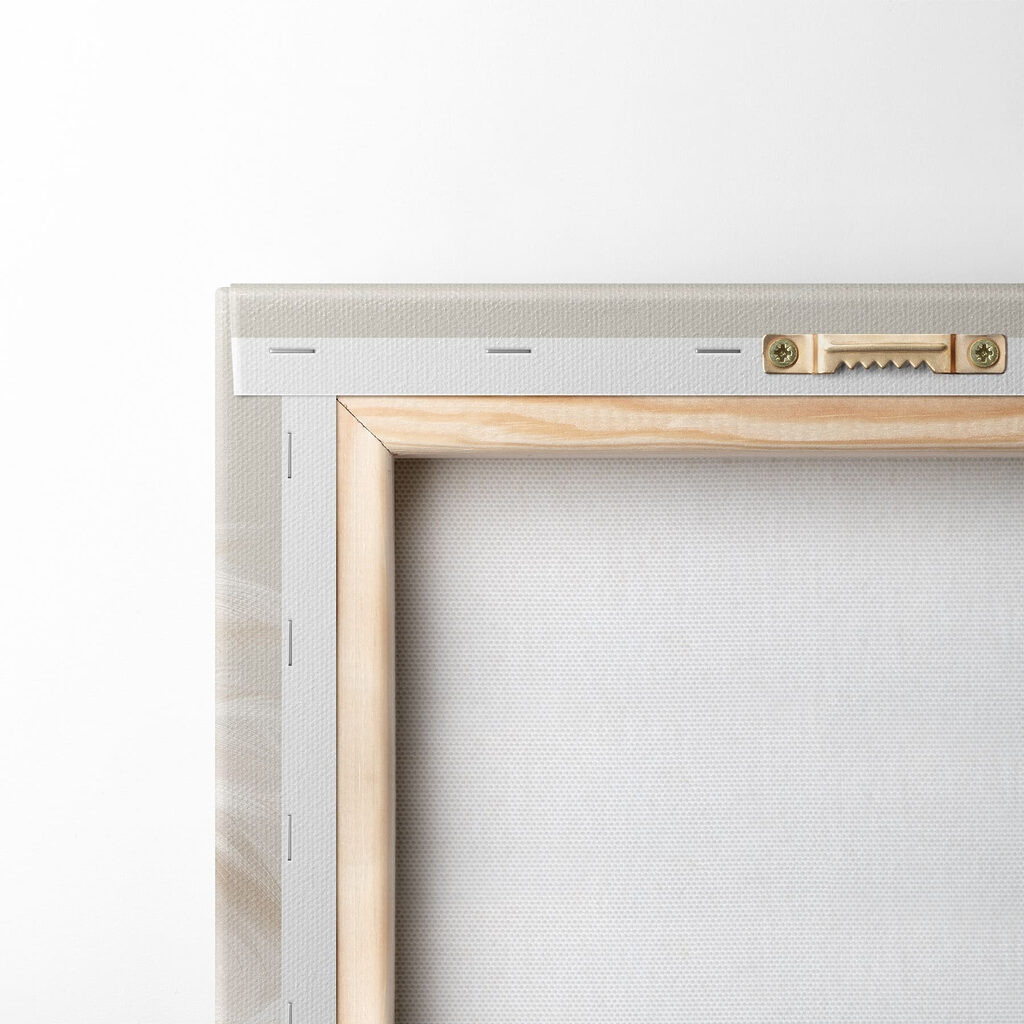 Roomwitte pluimen in tegenlicht — achterkant