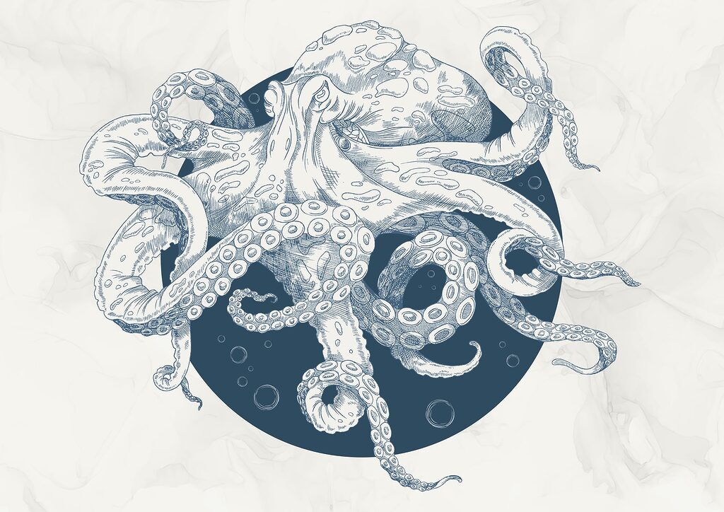 Een octopus vol krullen — volledig ontwerp