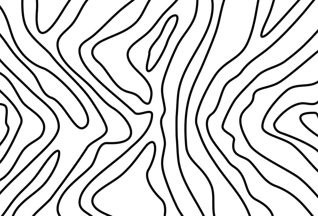 Zwarte lijnen waaieren uiteen — volledig ontwerp