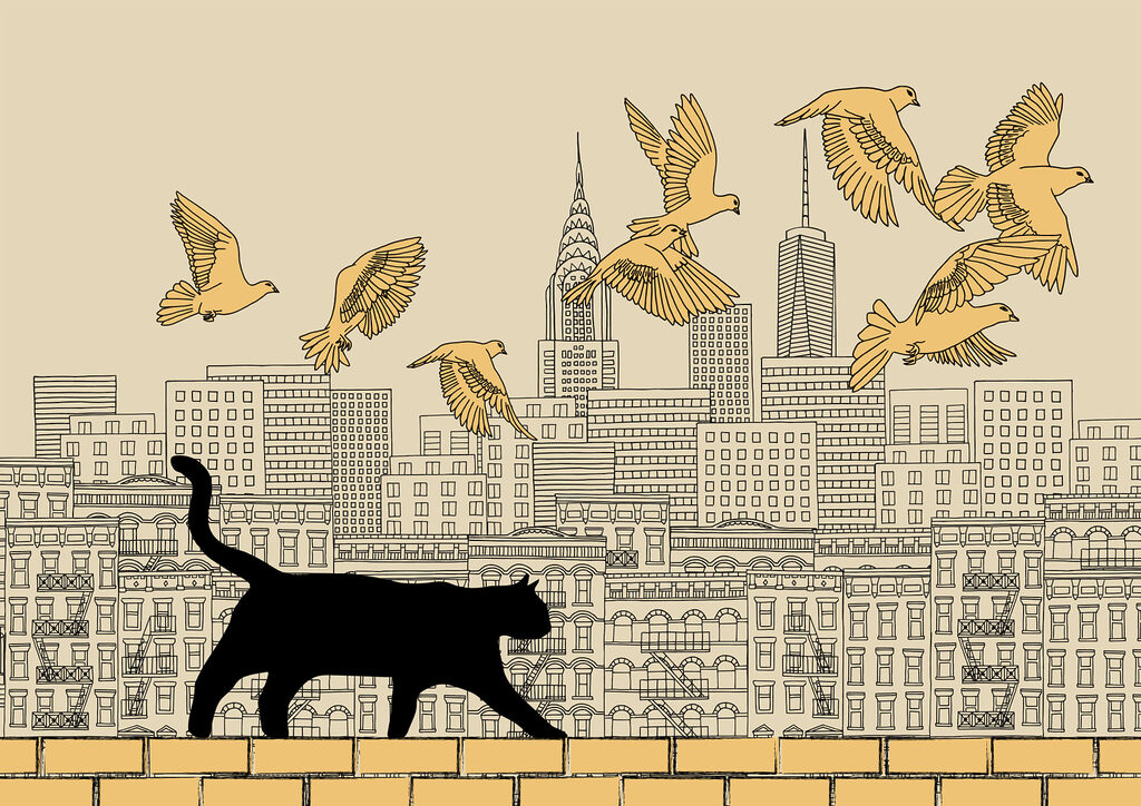 Het stadsleven: katten en vogels vinden elkaar — volledig ontwerp