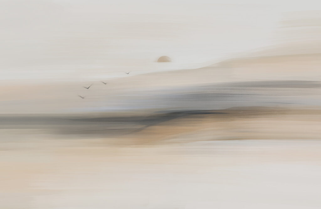Vogels langs verre oevers — volledig ontwerp