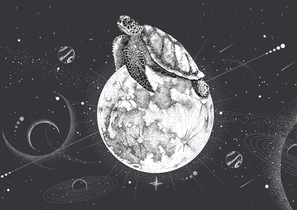 Schildpad op een maan — volledig ontwerp