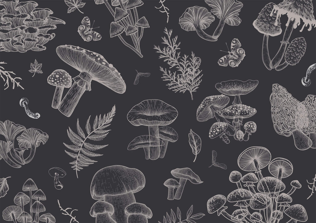 Paddenstoelen in fijne tekenlijnen — volledig ontwerp