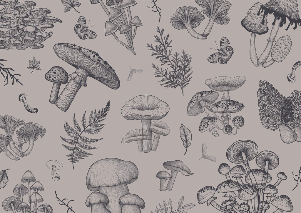 Paddenstoelen in fijne lijnen — volledig ontwerp
