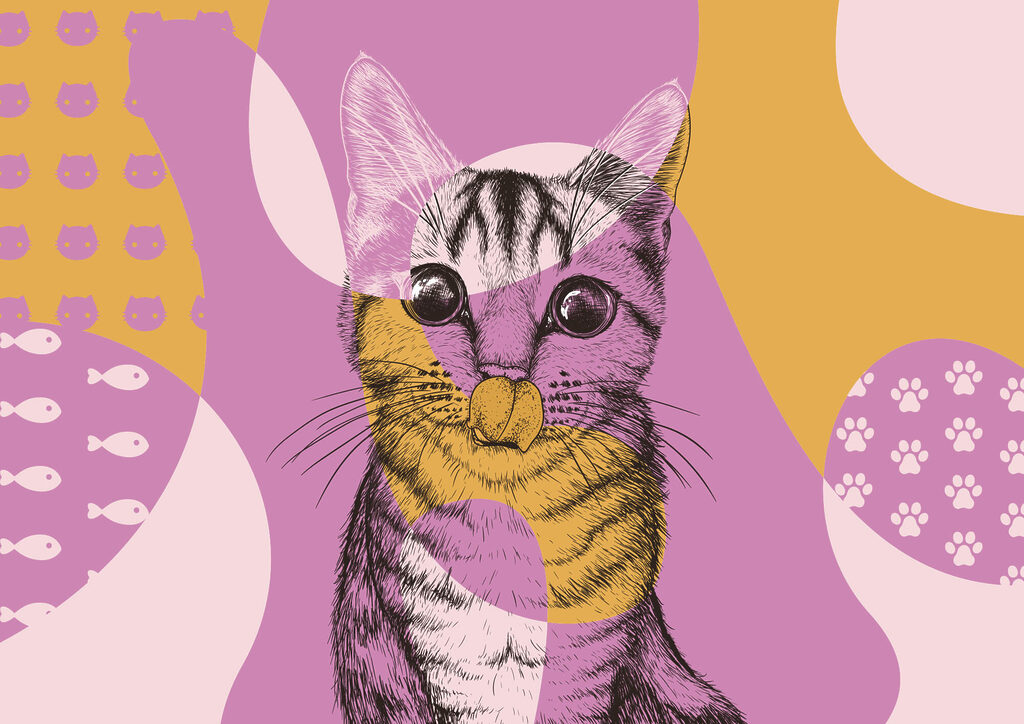 Kat in kleurrijke vormen — volledig ontwerp