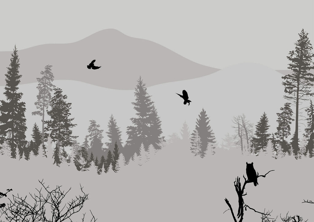 Kat voor een bergbos — volledig ontwerp