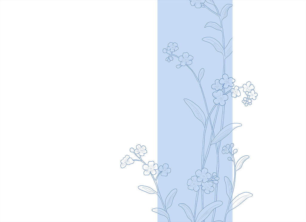 Bloementak langs blauwe strook — volledig ontwerp