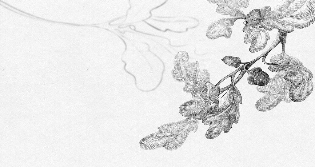 Orchidee in fijne grijstinten — volledig ontwerp